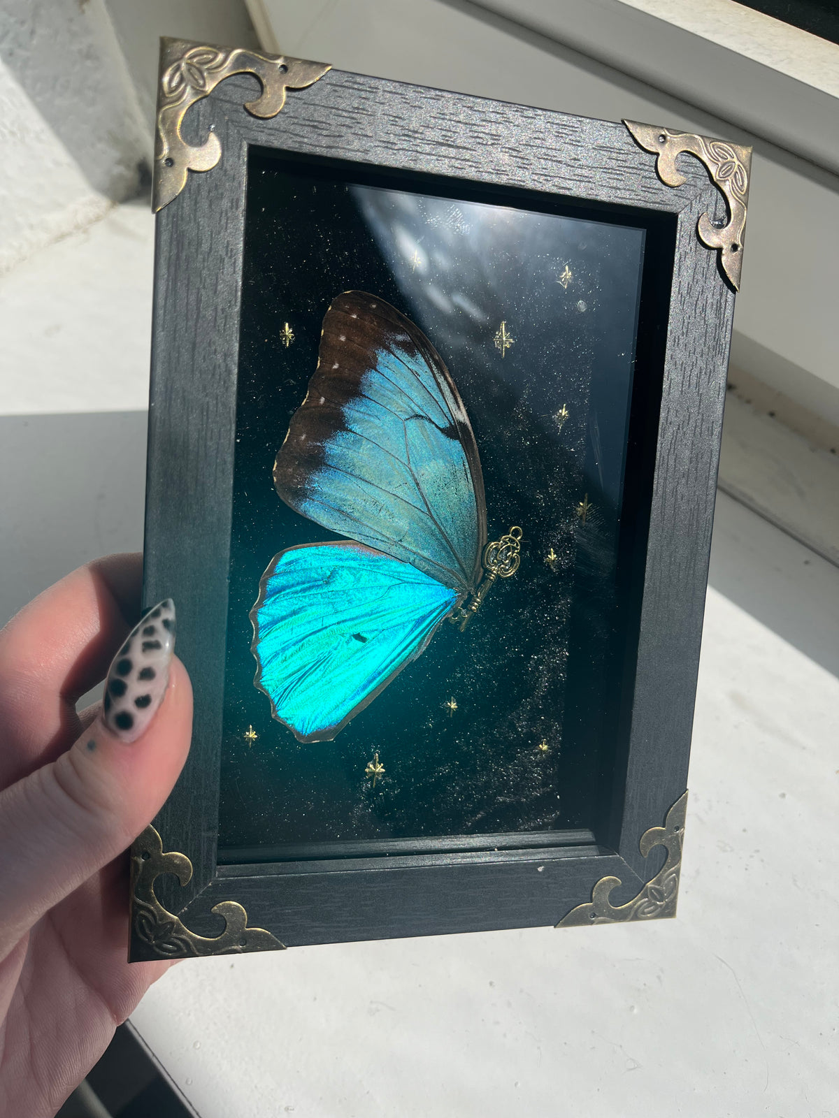 Portal fairys