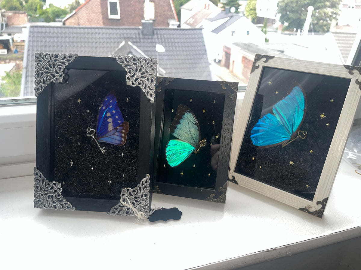 Portal fairys