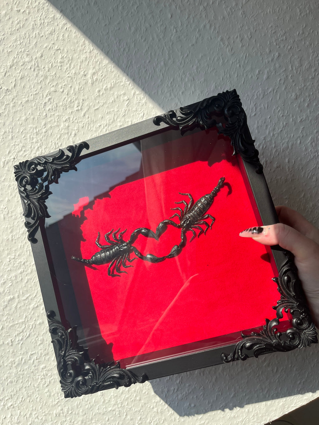 Venomous Devotion❤️‍🔥