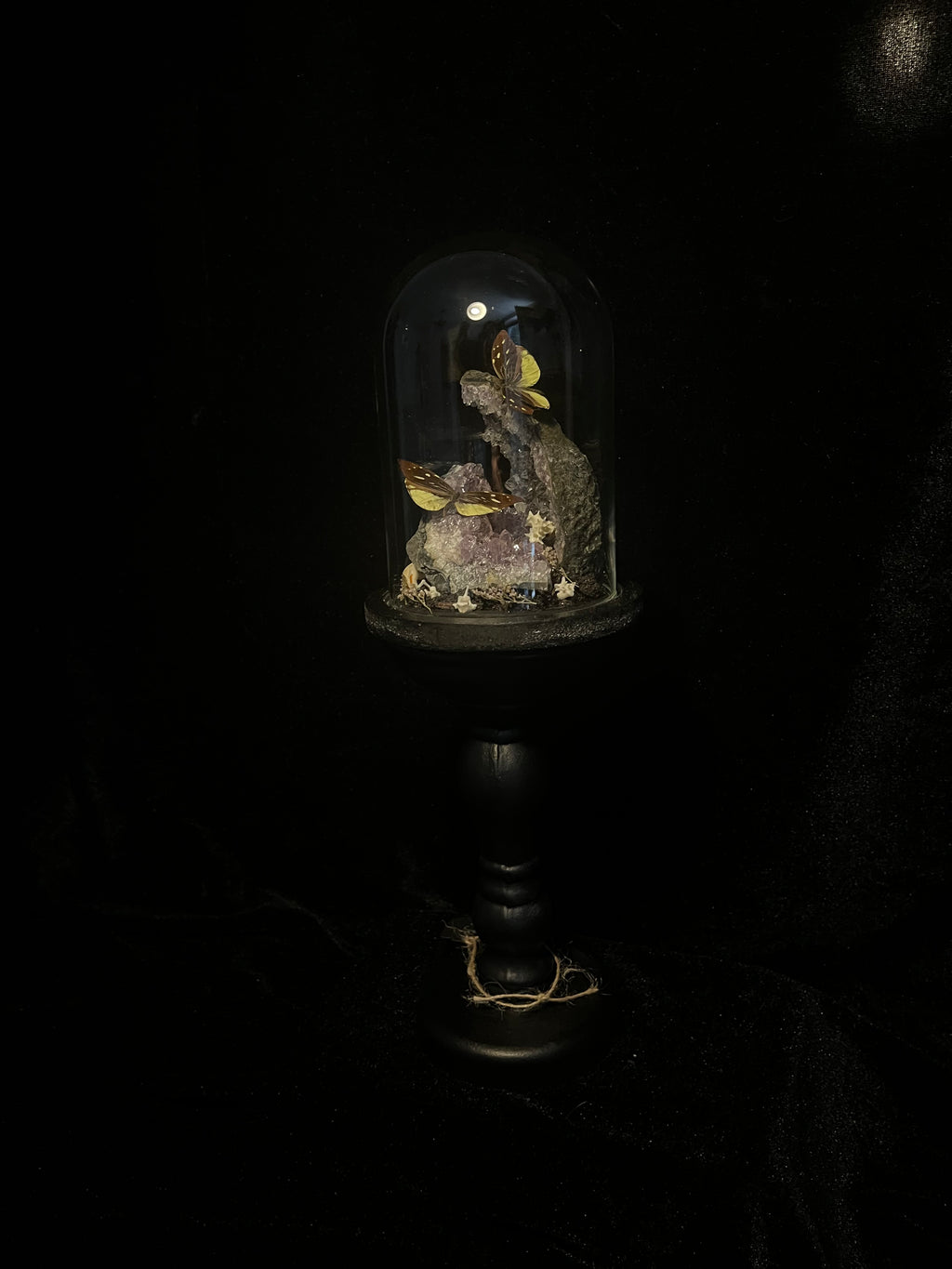 Leinix nemesis auf hoher Glaskuppel