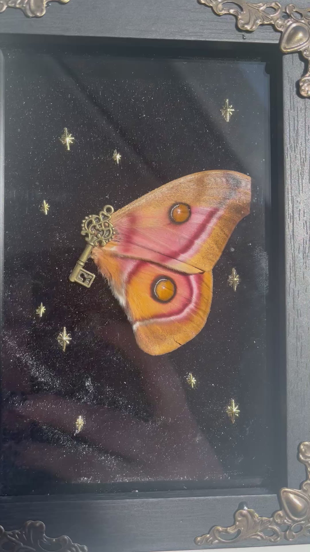 Portal fairys