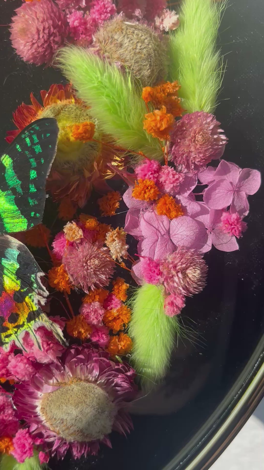 Venomous Bloom