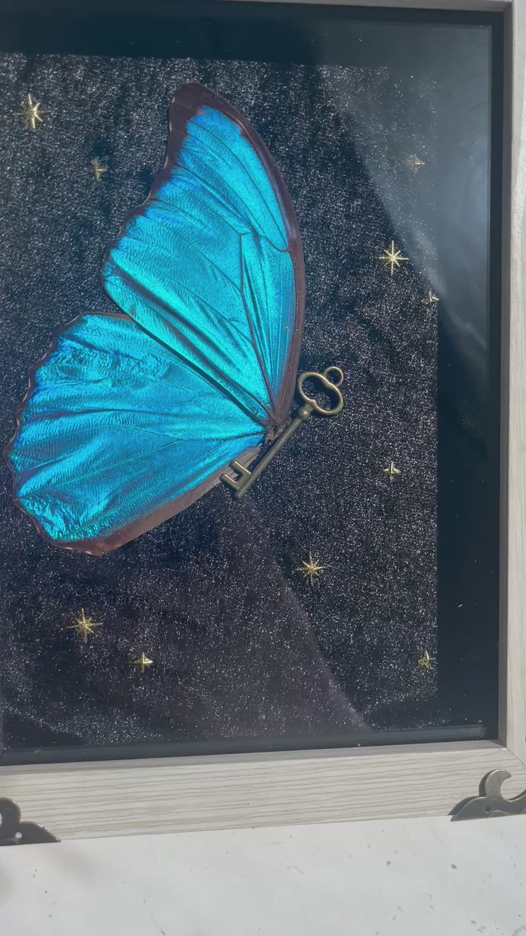 Portal fairys