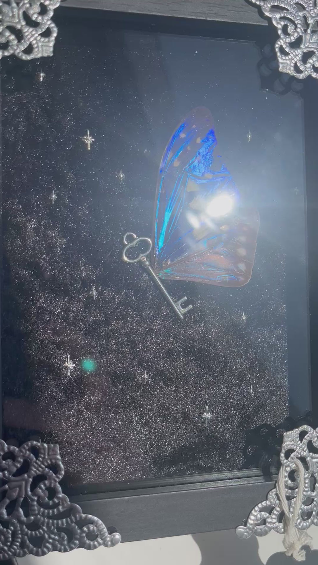 Portal fairys