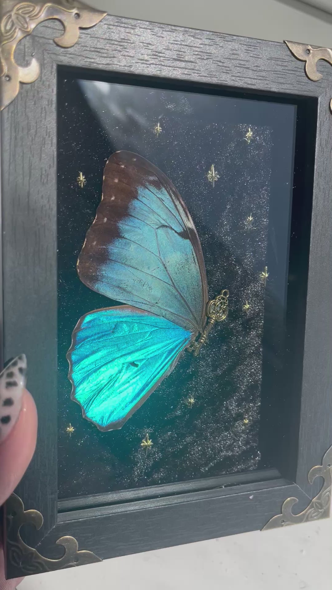 Portal fairys